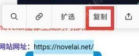 novelai怎么注册;图像生成下载注册方法_图片