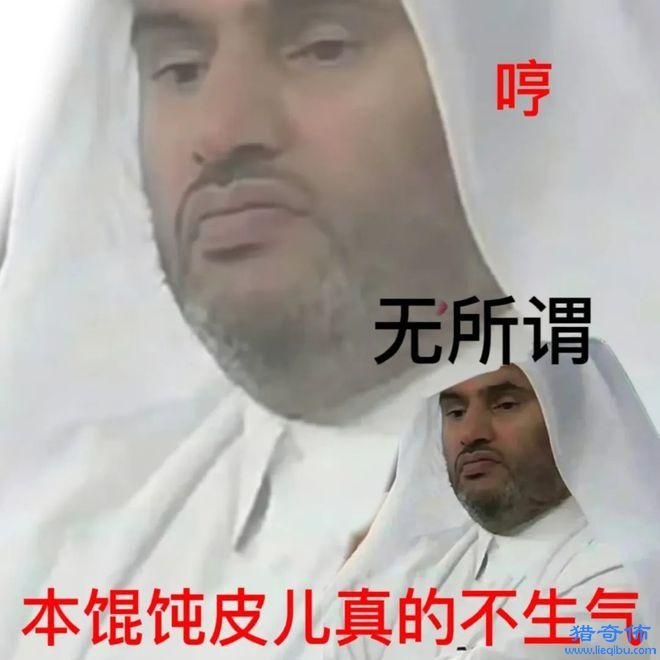 世界杯卡塔尔王子表情包有哪些;世界杯表情包分享_图片