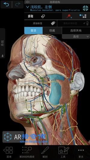 2021人体解剖学图谱官方版手机版