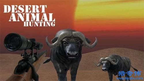 动物狩猎沙漠射击